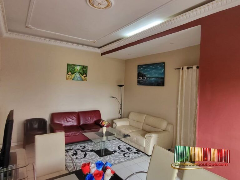 Salon équipé avec TV dans un appartement meublé type F3 à Nlongkak Vallée Yaoundé