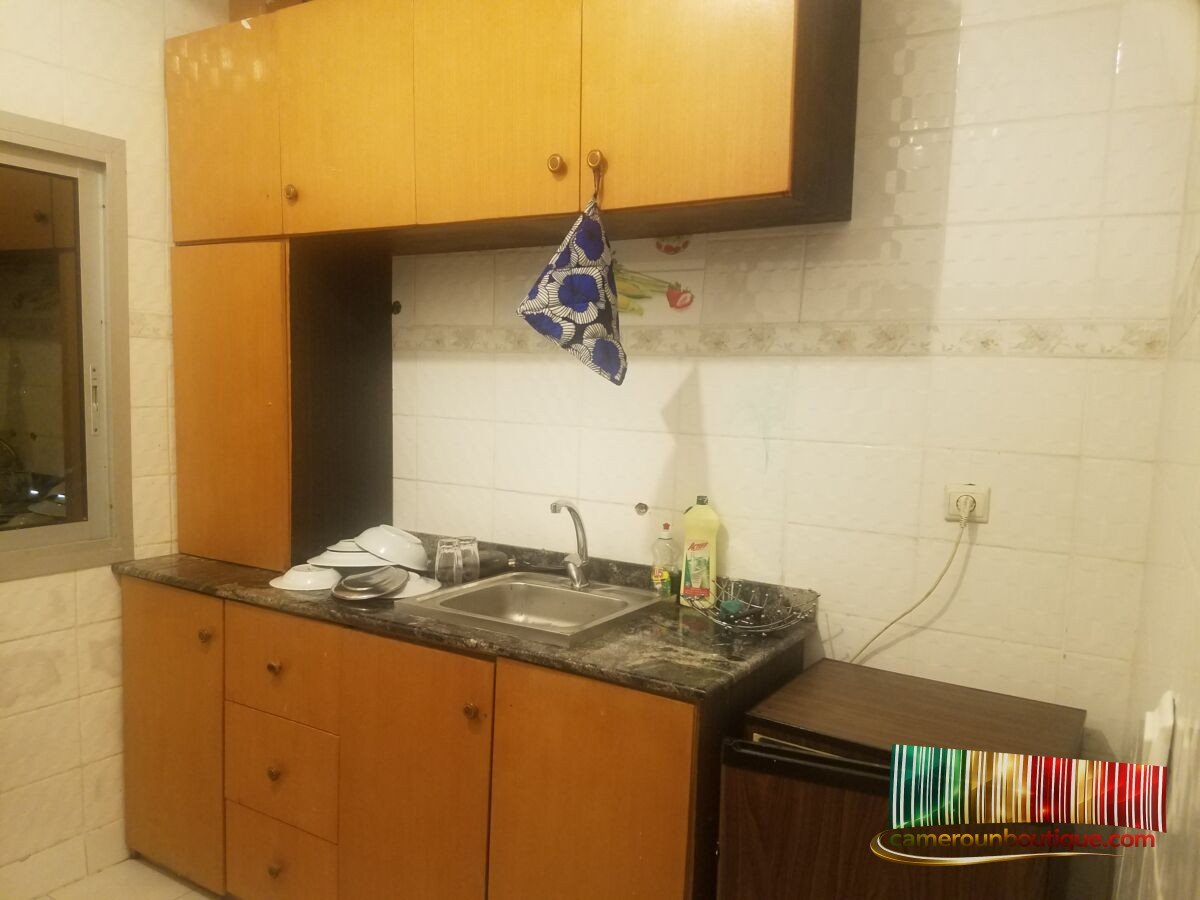 Appartement meublé F3 avec ascenseur à Bonapriso Rue Koloko Douala – Image 6