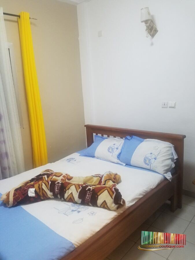 Appartement meublé F3 avec ascenseur à Bonapriso Rue Koloko Douala – Image 3