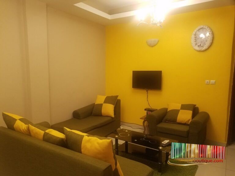 Ascenseur dans un immeuble avec appartement meublé à Bonapriso Rue Koloko Douala