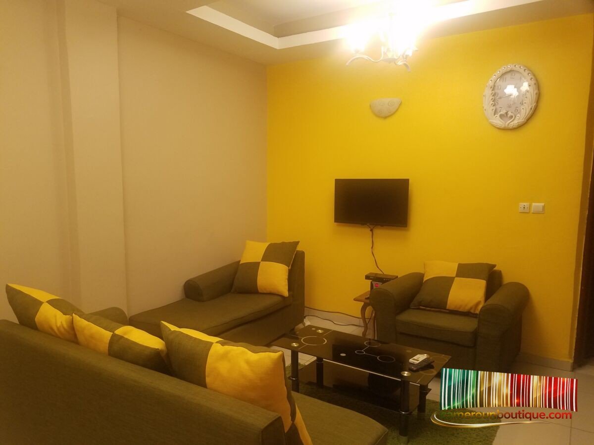 Ascenseur dans un immeuble avec appartement meublé à Bonapriso Rue Koloko Douala