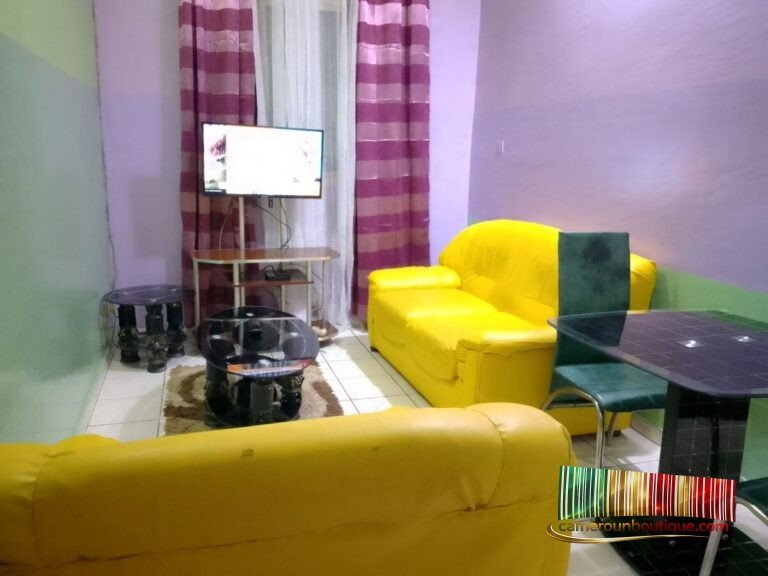 Séjour équipé avec TV dans un studio meublé à Nlongkak Vallée proche Bastos Yaoundé