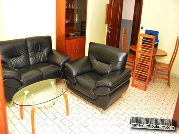 Appartement Meublé 01 chambre à louer à Douala Akwa — vue 1
